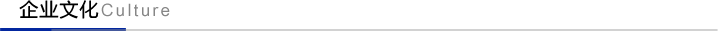集團(tuán)簡(jiǎn)介